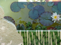 Click to enlarge image